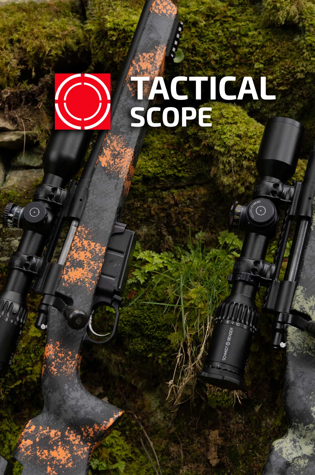 tac scopre